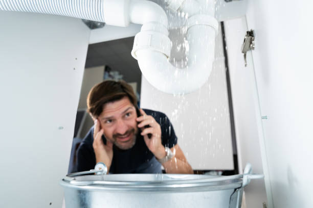 Best Residential Plumbing Services  in Martin, TN